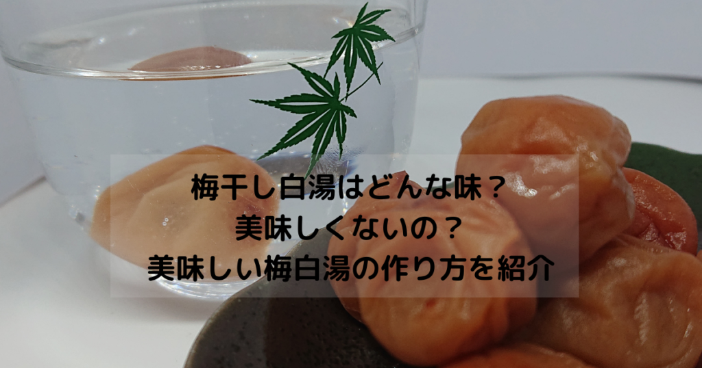 梅干し白湯はどんな味？美味しくない？美味しい梅白湯の作り方を紹介