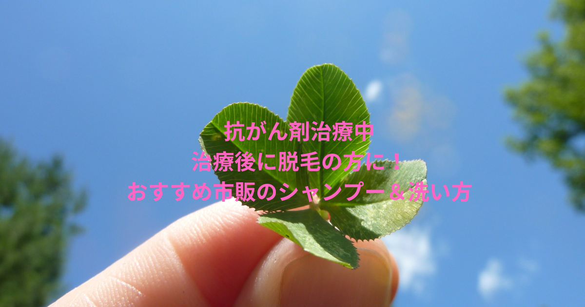 抗がん剤治療中・治療後に脱毛の方に！おすすめ市販のシャンプー＆洗い方